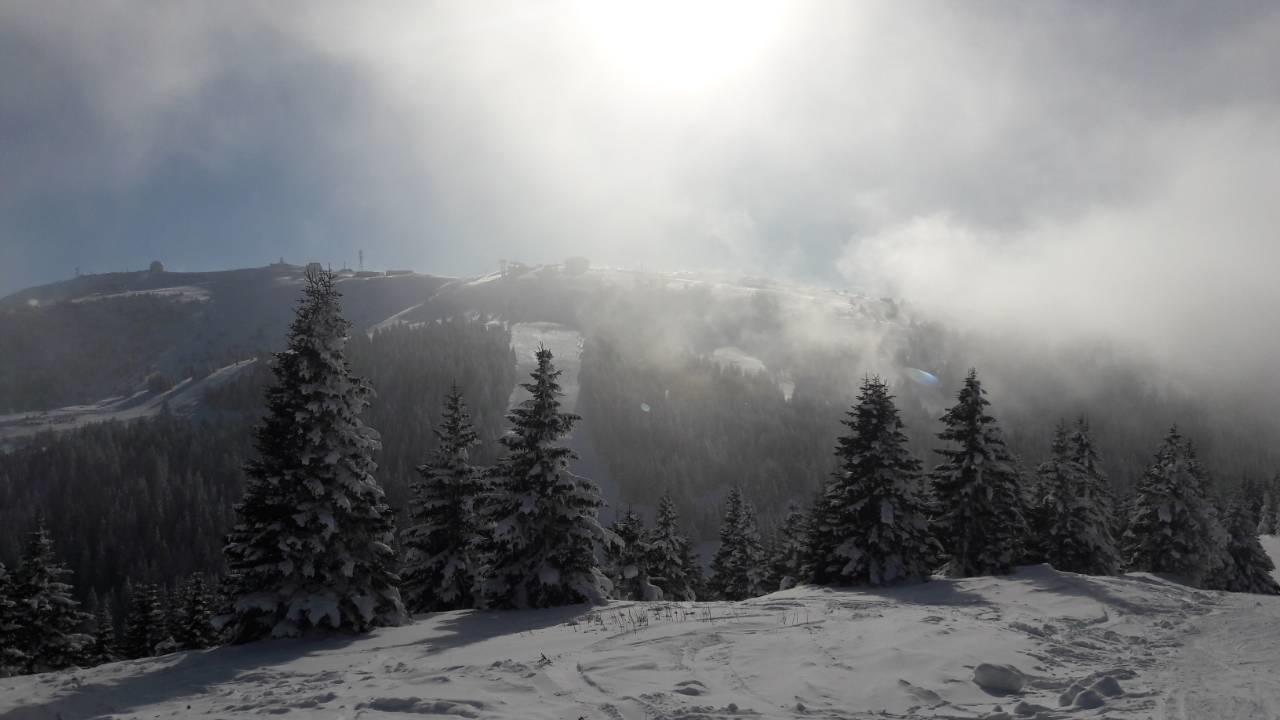 Lux Apartman B1 Milmari Kopaonik Zewnętrze zdjęcie