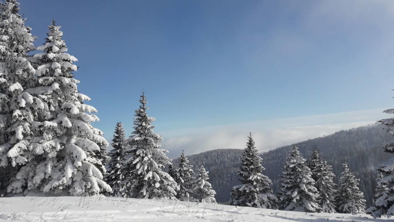 Lux Apartman B1 Milmari Kopaonik Zewnętrze zdjęcie